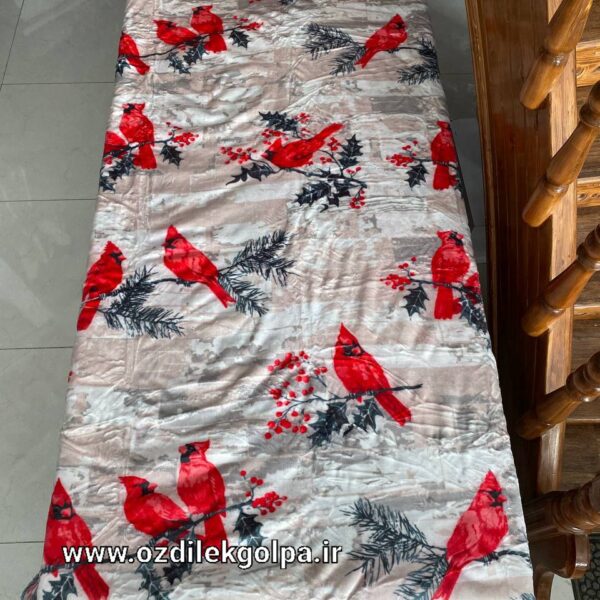 پتو یکنفره دو لایه پشت تدی طرح اسپرت برند پریسان مدل 7 سایز 160 در 220