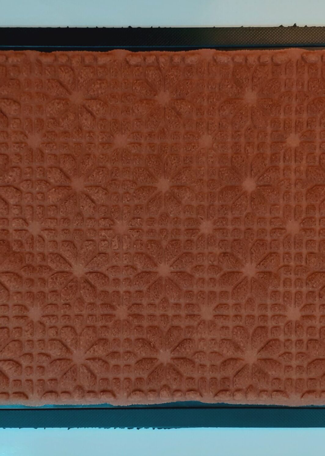 پادری خاکگیر لاستیکی برند تاپ مت Topmat